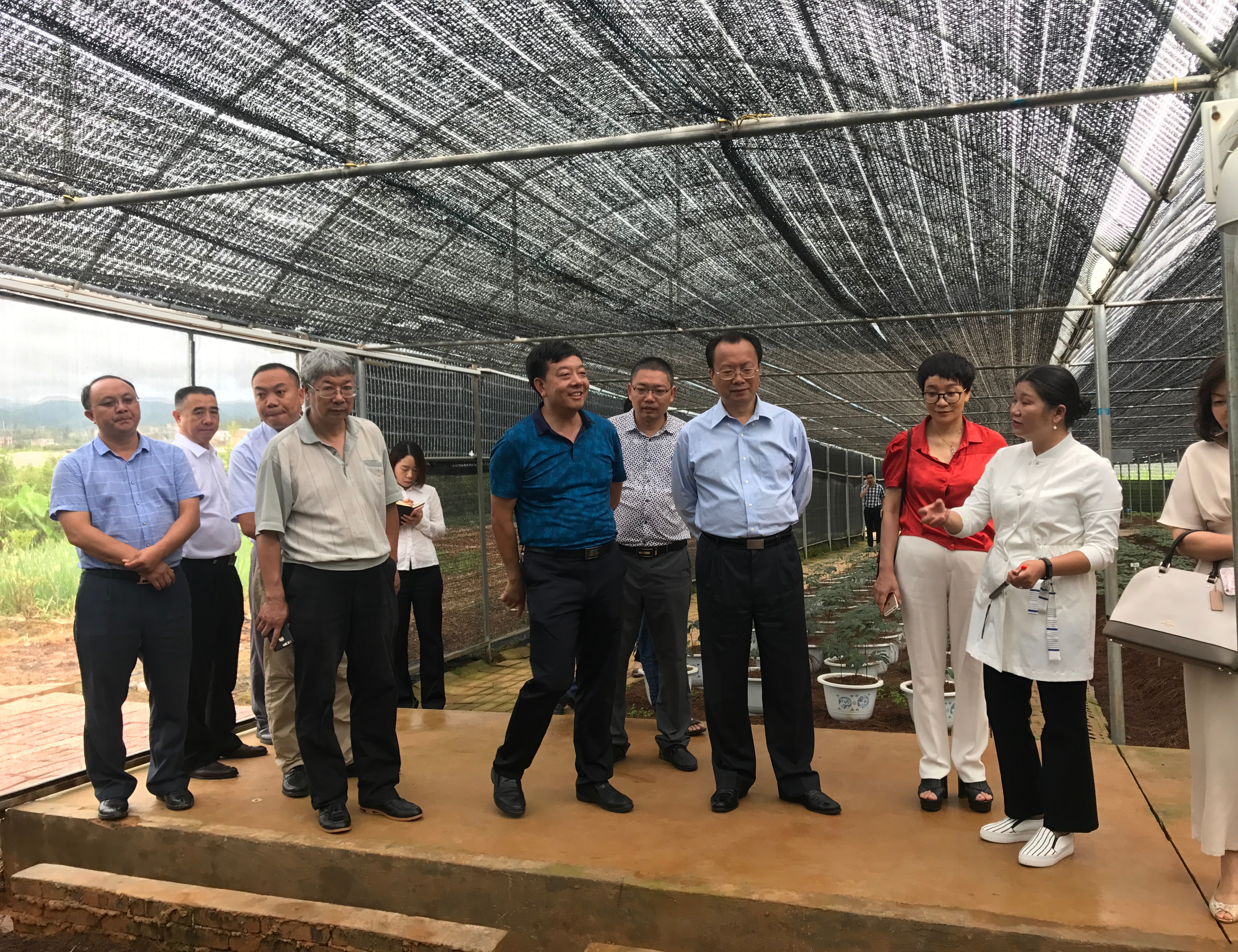 重慶市人大常委會(huì)副主任杜黎明調(diào)研組一行來(lái)苗鄉(xiāng)三七科技示范園參觀考察