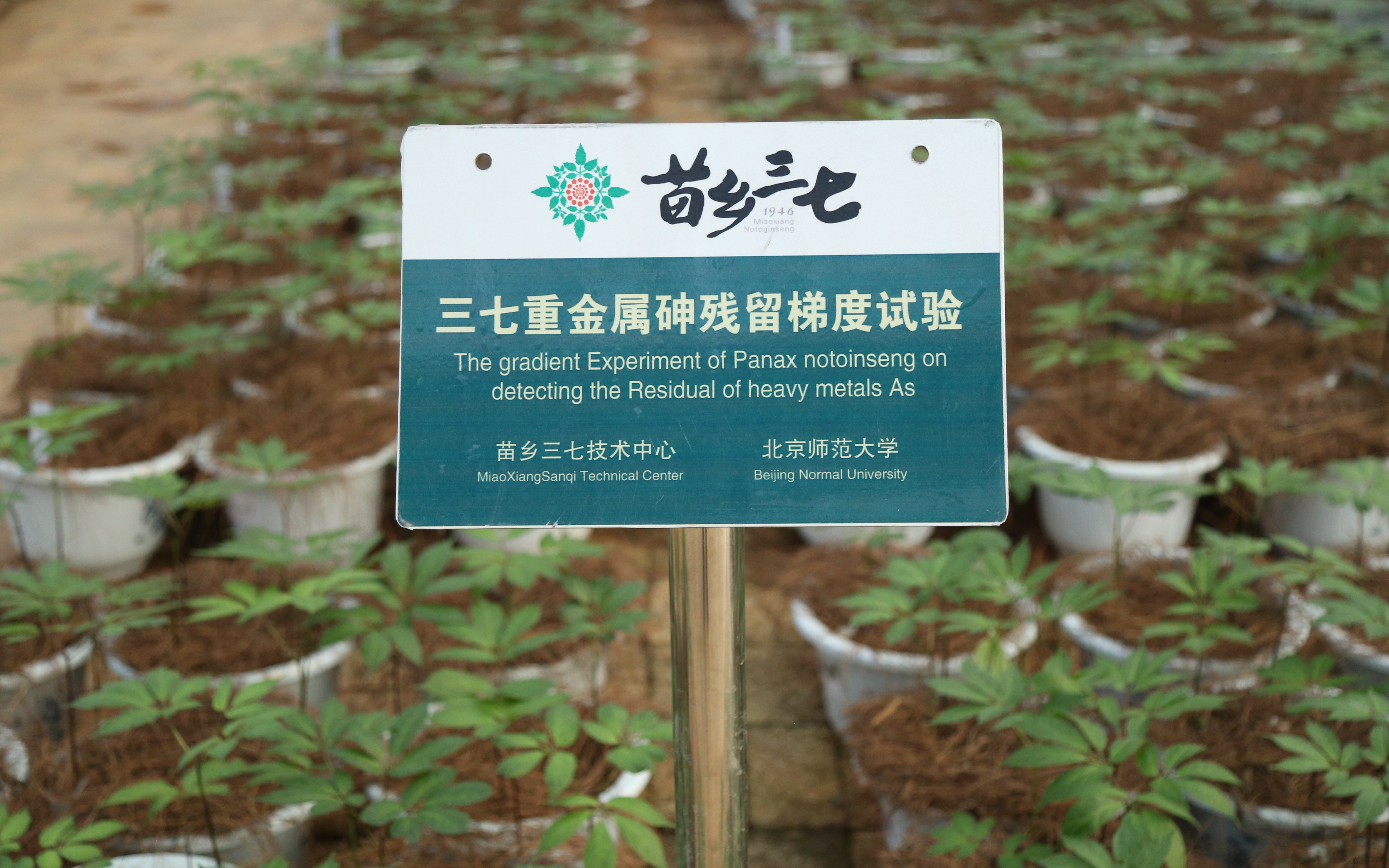 土壤重金屬修復(fù)