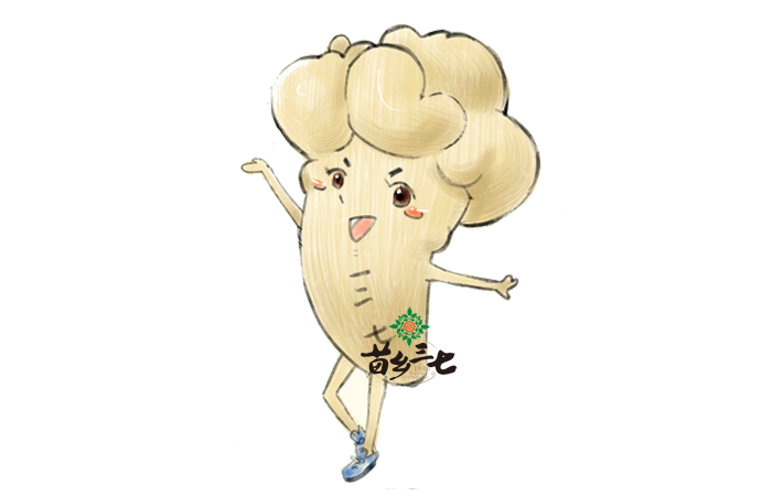 吃三七的五大禁忌，你知道嗎？