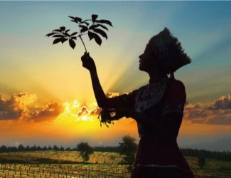 吃三七要在什么年齡，又有什么好處？?