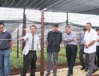 上海市國內合作交流中心考察團到文山三七科技示范園調研