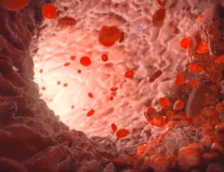 為什么三七被稱為“血管清道夫”？