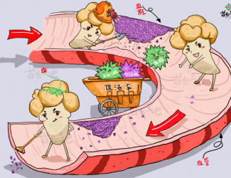 血瘀體質(zhì)的表現(xiàn)與癥狀，如何用三七活血化瘀