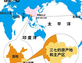 三七產(chǎn)地哪里的最好，廣西田七與云南三七有何區(qū)別