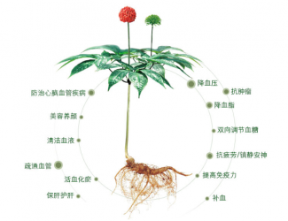 三七救人無(wú)國(guó)界，美軍飛行員曾受益