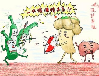 春季養(yǎng)肝正當(dāng)時(shí)，三七保肝有奇效