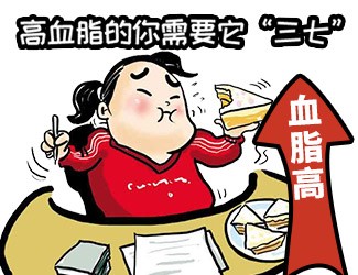 高血脂頭昏天旋地轉(zhuǎn)，三七還我一片天清氣朗