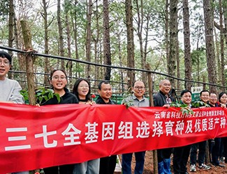 無數(shù)次從零到一，無數(shù)人前赴后繼守護(hù)三七“種業(yè)芯片”