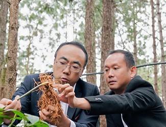 三七良種喜獲豐收，實(shí)現(xiàn)產(chǎn)量含量雙突破！