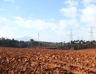 三七土壤危機(jī)何解？官會林教授開出“生態(tài)藥方”
