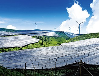 董林林博士如何看待苗鄉(xiāng)全產(chǎn)業(yè)鏈品控管理體系？